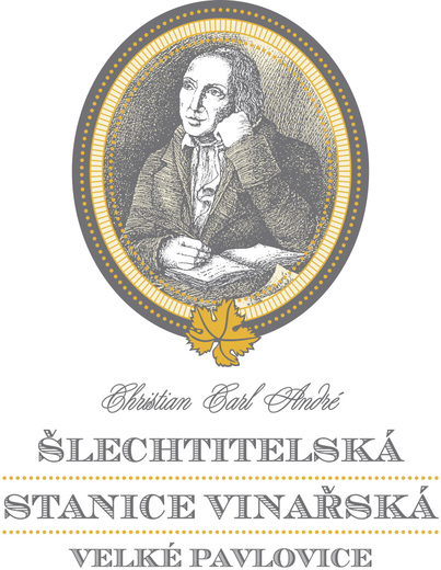 logotypy S╠îSV_na vy╠üs╠îku.jpg